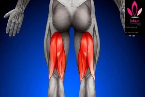 فیزیوتراپی برای کاف همسترینگ /فیزیوتراپی در امیرآباد