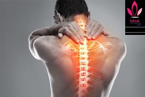 آناتومی ستون فقرات / فیزیوتراپی در امیرآباد